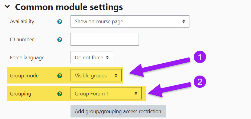 Screenshot showing the Common module settings of a Forum activity. The Group mode is highlighted and showing 'Visible groups'; the 'Grouping' setting is also highlighted.