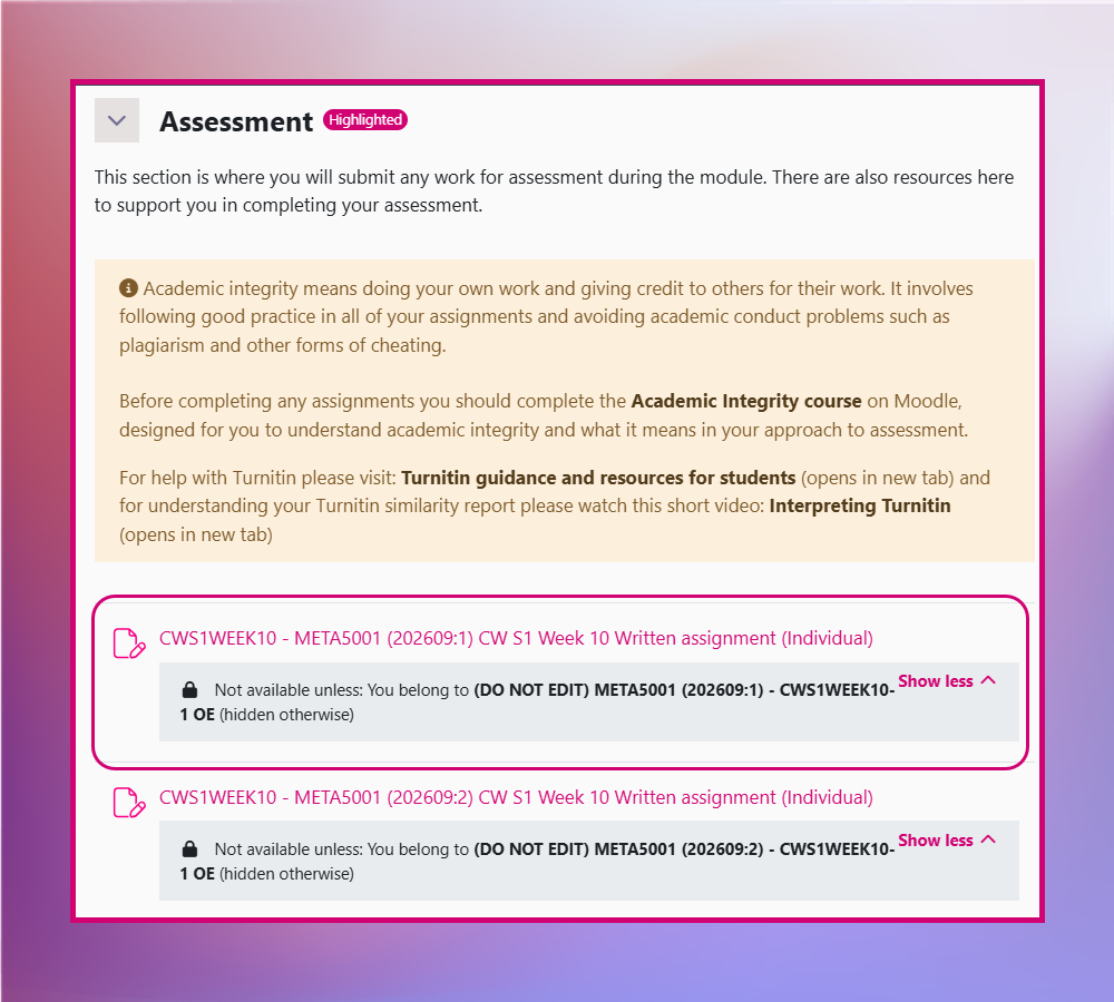 Screenshot showing the assessment section with the main submission point highlighted