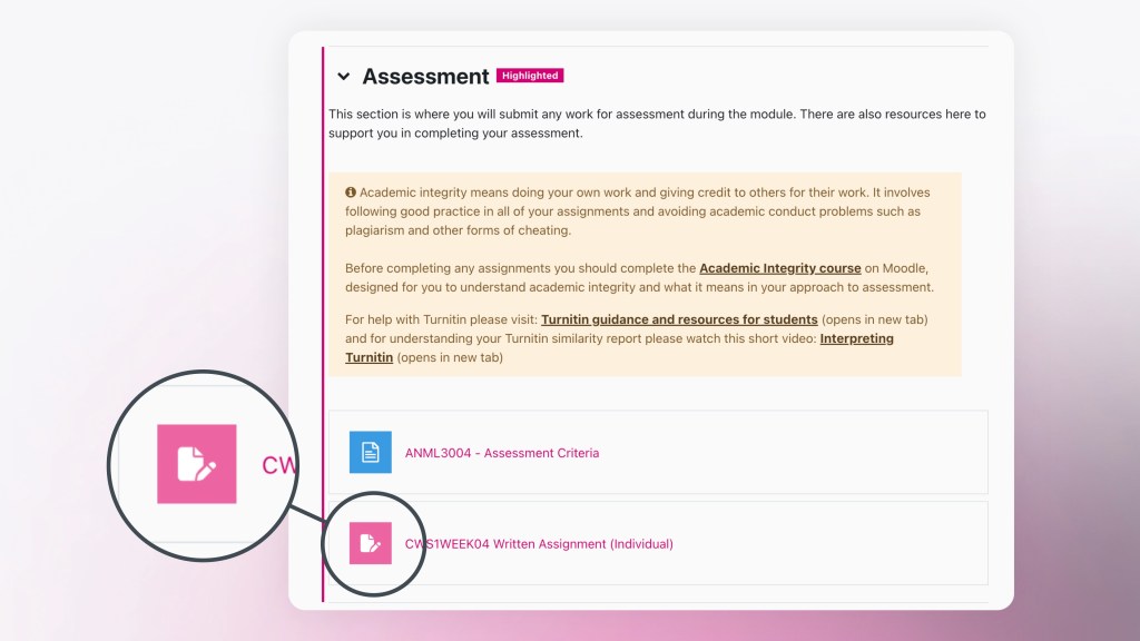 Moodle screenshot with the Coursework icon magnified. The icon is a white paper and a white pencil on a pink square.