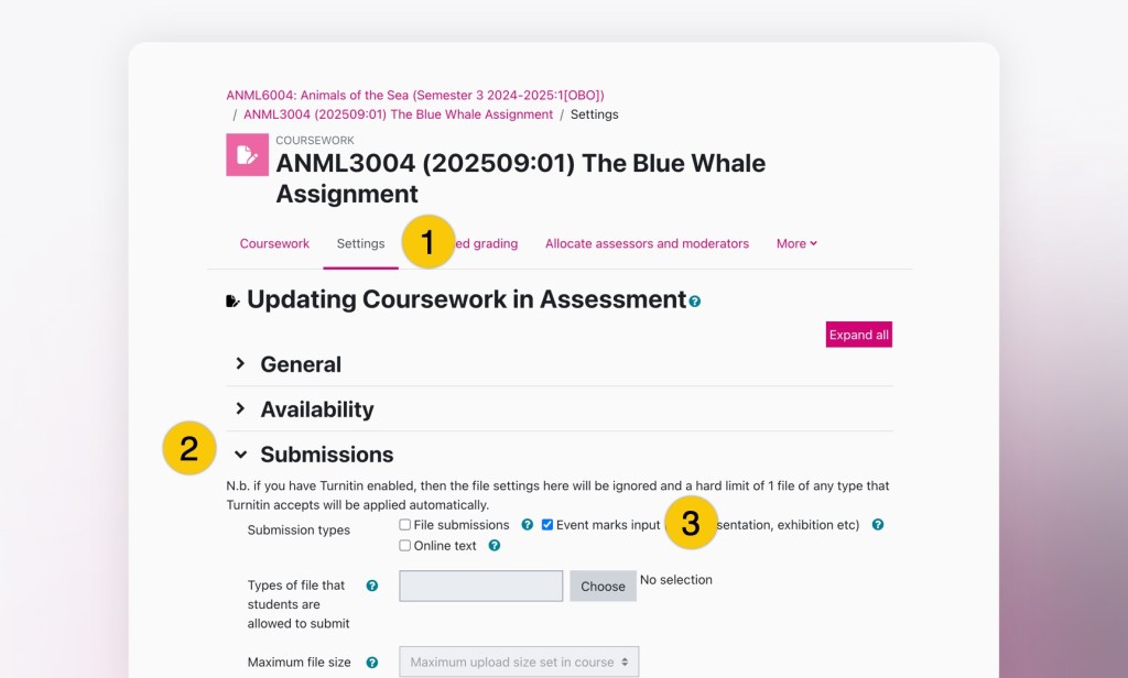 Moodle screenshot with the words highlighted: 'Settings' with number 1, 'Submissions' with number 2 and 'Event marks input' with number 3.