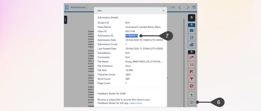 The Feedback Studio 'Match Overview' shows the information i symbol with the Info window opened and the submission ID highlighted.