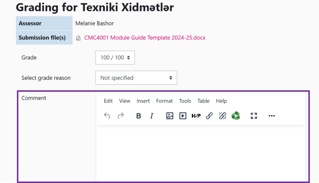 Screenshot of Feedback and Grading with Text Comment highlighted.